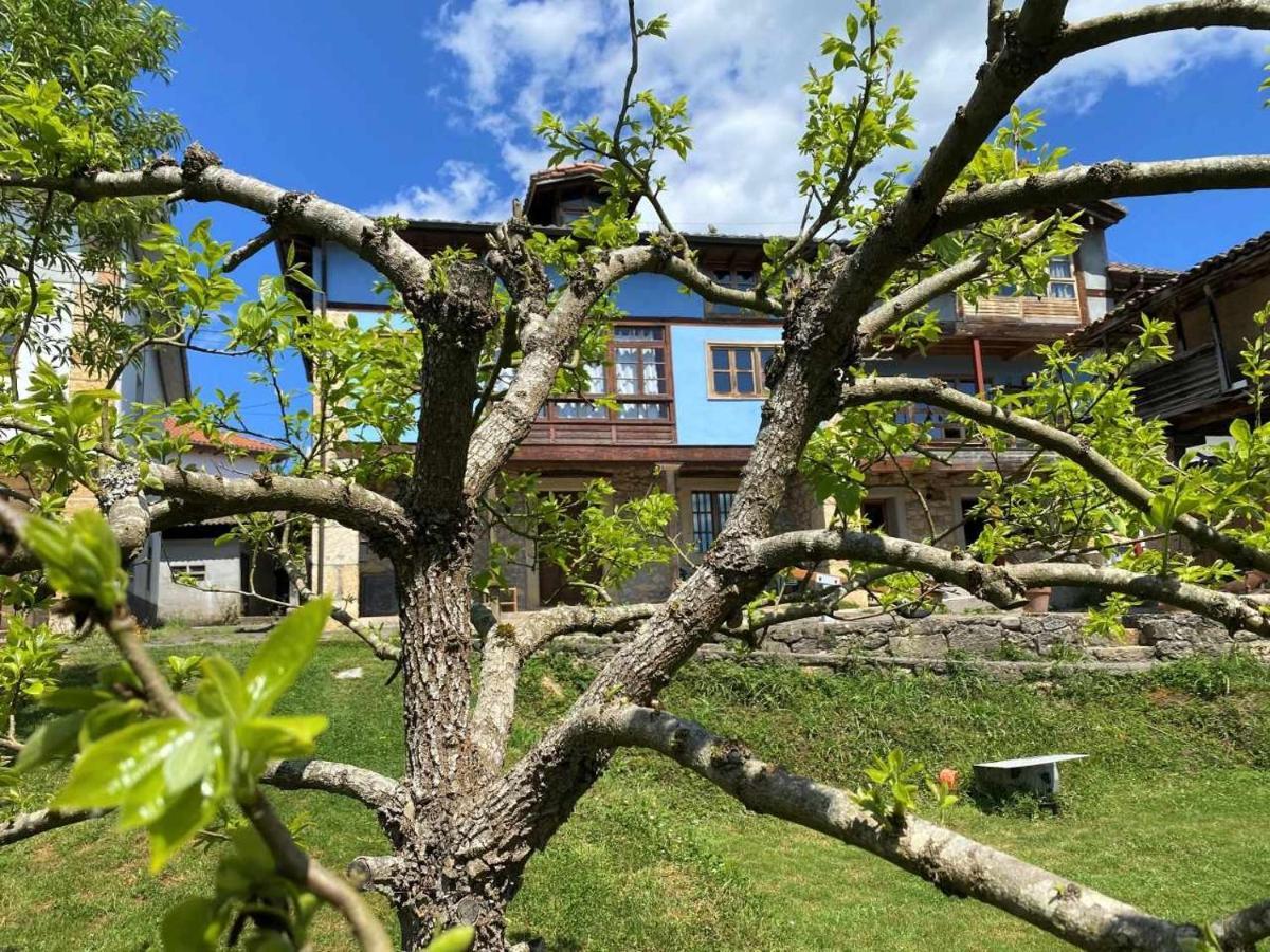 Casa Rural El Bohio Arriondas Bagian luar foto